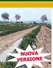 Fai da te il tuo piano di fertirrigazione